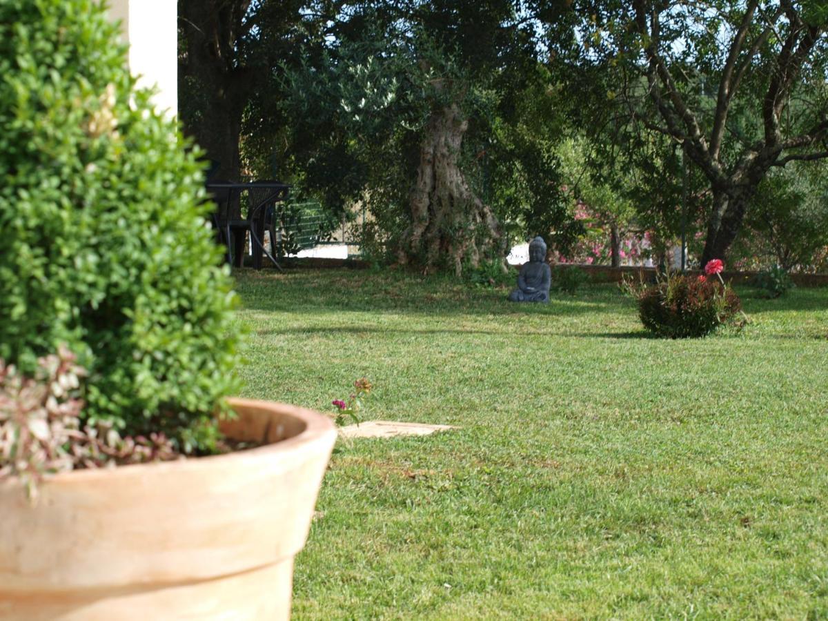 Apartments Mirasol Umag Zewnętrze zdjęcie
