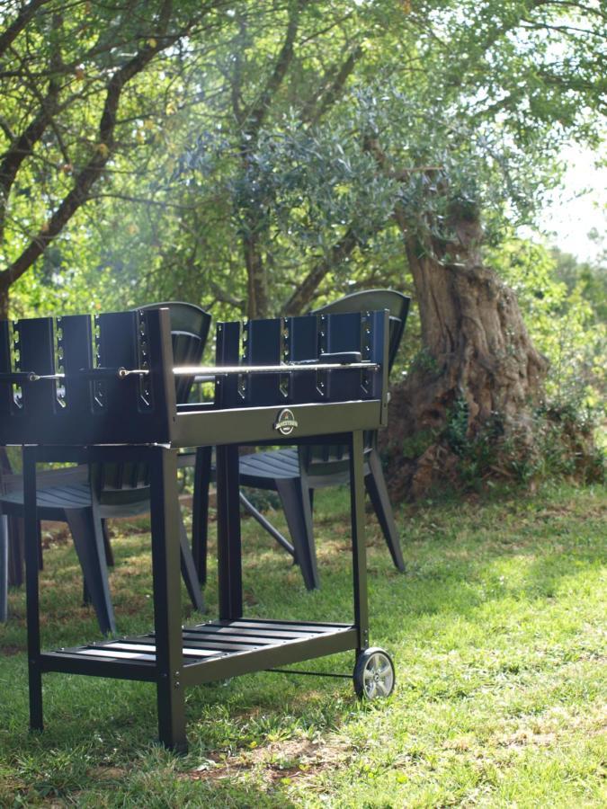 Apartments Mirasol Umag Zewnętrze zdjęcie