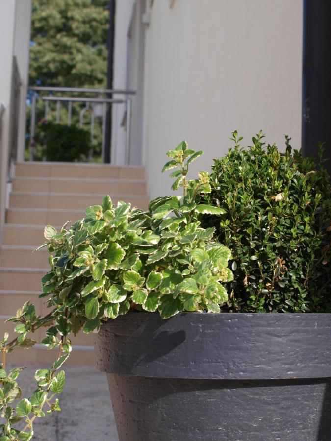 Apartments Mirasol Umag Zewnętrze zdjęcie